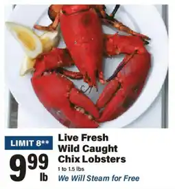 Big Y Live Fresh Wild Caught Chix Lobsters offer