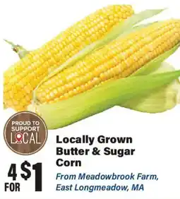 Big Y Locally Grown Butter & Sugar Corn offer
