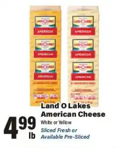 Big Y Land O Lakes American Cheese offer