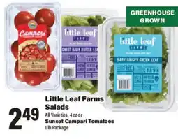 Big Y Little Leaf Farms Salads offer
