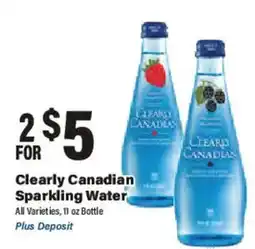 Big Y Clearly Canadian Sparkling Water offer