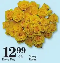 Pavilions Spray Roses offer