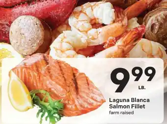 Laguna Blanca Salmon Fillet