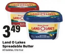 Big Y Land O Lakes Spreadable Butter offer