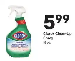 Coborn's Clorox clean-up spray offer