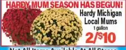 Angelo Caputo's Fresh Market Hardy Michigan Local Mums offer