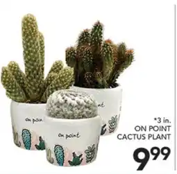 Pete's Fresh Market ON POINT CACTUS PLANT offer