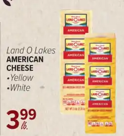 Cermak Fresh Market Land O Lakes AMERICAN CHEESE offer