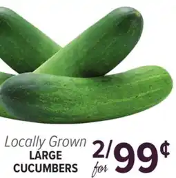 Cermak Fresh Market Locally Grown LARGE CUCUMBERS offer