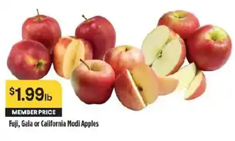Fuji, Gala or California Modi Apples