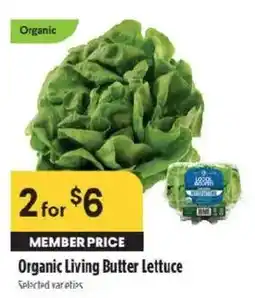 Raley's Organic Living Butter Lettuce offer