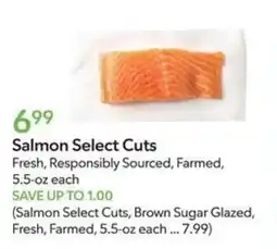 Publix Salmon Select Cuts offer
