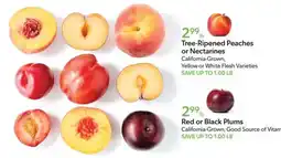 Publix Tree-Ripened Peaches or Nectarines offer