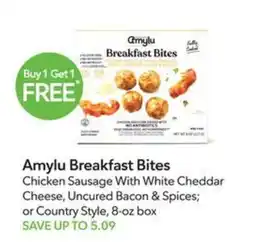 Publix Amylu Breakfast Bites offer