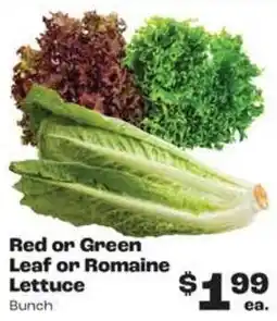 Rosauers Red or Green Leaf or Romaine Lettuce offer