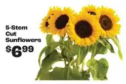 Rosauers 5-stem cut sunflowers offer