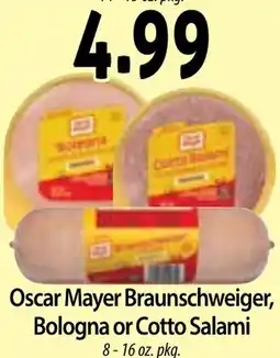 Hollywood Market Oscar Mayer Braunschweiger, Bologna or Cotto Salami offer