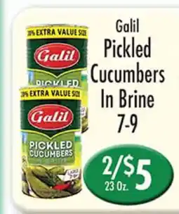 Garden Fresh Market Galil Pickled Cucumbers In Brine offer