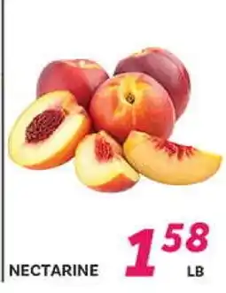 El Paso Grande NECTARINE offer