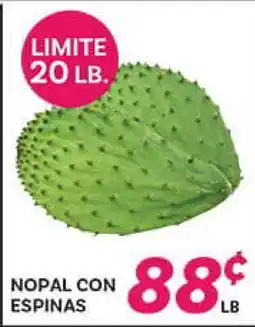 El Paso Grande NOPAL CON ESPINAS offer