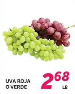 El Paso Grande UVA ROJA O VERDE offer