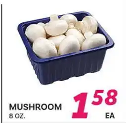 El Paso Grande MUSHROOM offer