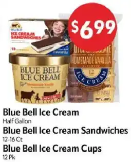 Homeland Market Blue Bell Ice Cream offer