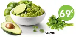 Homeland Market Cilantro offer