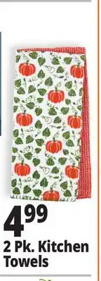 Ocean State Job Lot Kitchen Towels Set of 2 offer
