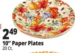 Ocean State Job Lot 10 Paper Plates offer