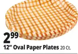 Ocean State Job Lot 12 Oval Paper Plates offer