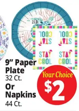 Ocean State Job Lot 9 Paper Plate 32 Ct. Or Napkins 44 Ct offer