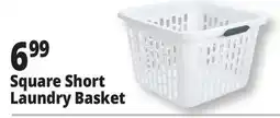 Ocean State Job Lot Square Short Laundry Basket offer