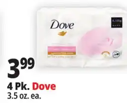 Ocean State Job Lot 4 Pk. Dove offer