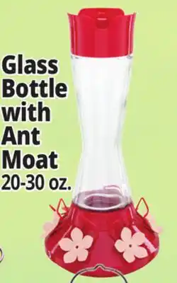 Ocean State Job Lot Glass Bottle with Ant Moat offer
