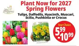 Ocean State Job Lot Plant Now for 2027 Spring Flowers offer