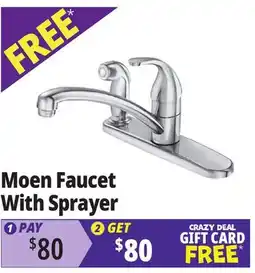 Ocean State Job Lot Moen Faucet With Sprayer offer