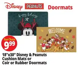 Ocean State Job Lot 18x30 Disney & Peanuts Cushion Mats or Coir or Rubber Doormats offer