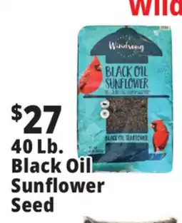Ocean State Job Lot 40 Lb. Black Oil Sunflower Seed offer
