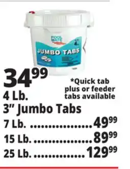 Ocean State Job Lot 4 Lb. 3 Jumbo Tabs offer