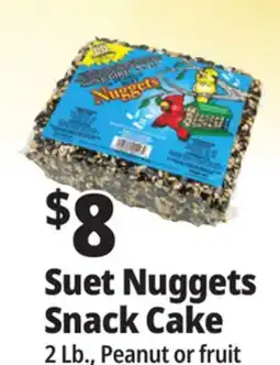 Ocean State Job Lot Suet Nuggets Snack Cake offer