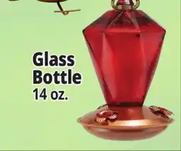Ocean State Job Lot Beautiful Hummingbird Feeders Glass Bottle offer