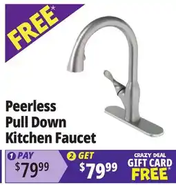 Ocean State Job Lot Peerless Pull Down Kitchen Faucet offer