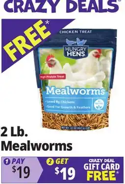 Ocean State Job Lot Hungry Hens Mealworms 2 lbs offer