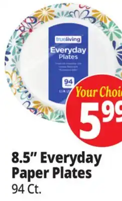 Ocean State Job Lot True Living Everyday Paper Plates 94 ct 8.5 offer