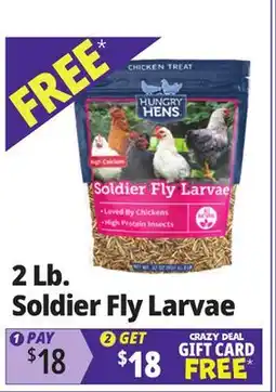 Ocean State Job Lot Hungry Hens Soldier Fly Larvae 2 lbs offer
