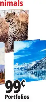 Ocean State Job Lot Fashion Laminated 2 Pocket Nature Folder offer