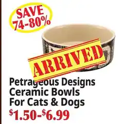 Ocean State Job Lot Petrageous Designs Ceramic Bowls For Cats & Dogs offer