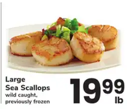 ACME Large Sea Scallops offer