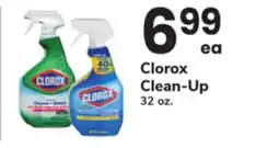 ACME Clorox Clean-Up offer